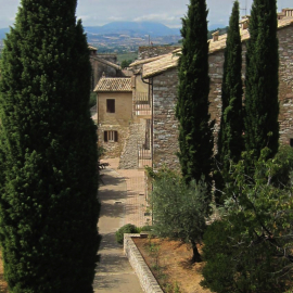 FORESTERIA MONASTERO SANTA COLETTE<br />Monastero Santa Colette di Assisi Monastero Santa Colette di Assisi